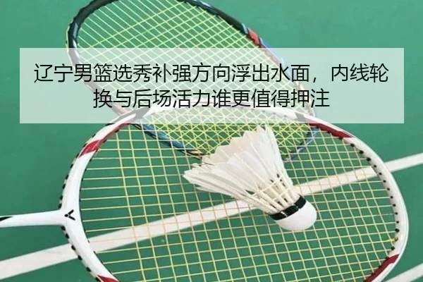 辽宁男篮选秀补强方向浮出水面，内线轮换与后场活力谁更值得押注 | dbdianzi